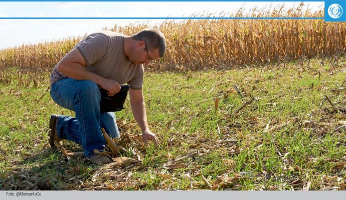 fa-monsanto