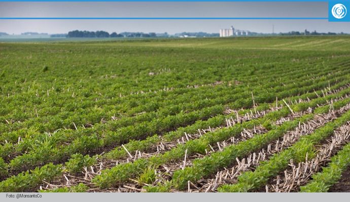 fa-monsanto2